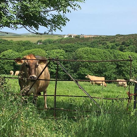 דירות פורת'קורנו Trengothal Barn מראה חיצוני תמונה